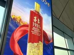 -郑州新郑国际机场-T2航站楼