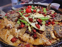 -老板恋上鱼(恒隆广场店)