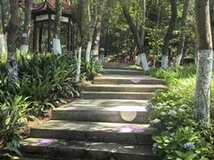-炎帝陵景区