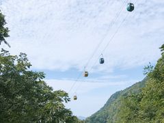 -王顺山国家森林公园