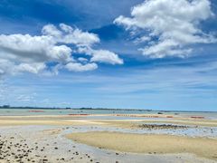 -北海金海湾红树林生态旅游区