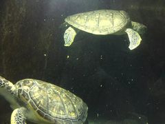 -福州罗源湾海洋世界旅游区