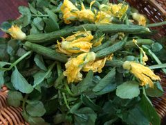 -墨脱石锅椰子鸡•香草鸭•东山羊(大东海店)