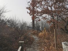 -定都峰