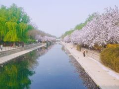 -海棠花溪(元大都城垣遗址公园)