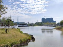 -王借岗森林公园