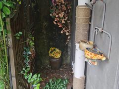 -小草屋轰趴馆别墅派对新场团建家庭聚会