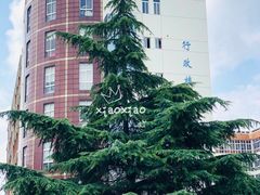 -上海市民办金苹果学校