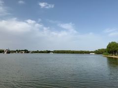 -大兴滨河森林公园