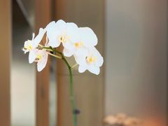 -厦门康莱德酒店