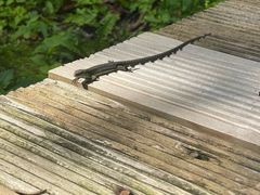 -丹东天桥沟景区