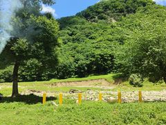 -关山草原