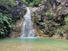 -南海湾森林生态园