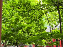 -成都武侯祠博物馆