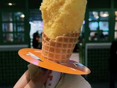 -野人先生现做冰淇淋(西安赛格店)
