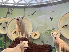 -陕西自然博物馆