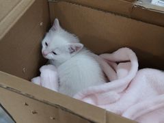 -荔康动物医院(康王北路店)