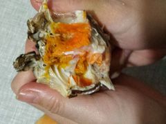 -喜洋洋蟹庄(阳澄湖店)