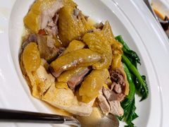海马水晶鸡-梧桐北京烤鸭·铜锅涮肉(海岸城店)