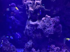 -波塞冬旅游度假区