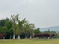 -钟山体育运动公园