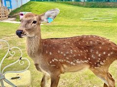 -盈香心动乐园