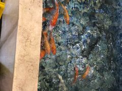 -新东城喜宴海鲜酒家(同德店)