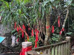 -七仙岭温泉国家森林公园