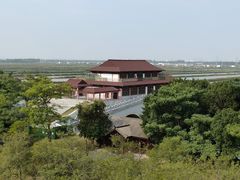 -大湾区中央湿地公园