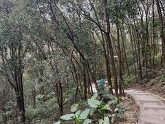 -高榜山景区