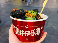-黑色经典臭豆腐·湖南特产(潇湘文化店)