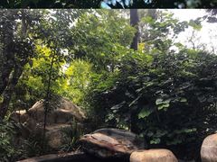 -七彩云南古滇温泉山庄