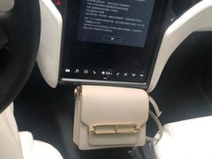 -TESLA 特斯拉(郑州正弘城体验店)