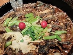 -老板恋上鱼(环山路店)