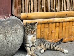 -龙华素斋(龙华路店)