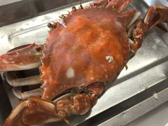 海蟹-渔民船说·北塘海鲜·天津菜·海肠捞饭(北塘古镇店)