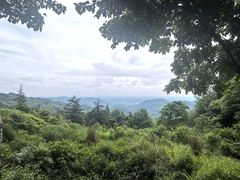-凤栖山