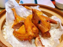 -大鸽饭(北京路店)