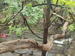 -四门塔风景区