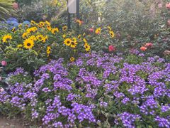 -人民公园(罗湖区)