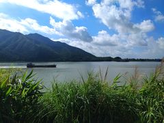 -羚羊峡古栈道森林公园