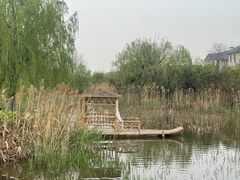-杭州湾海上花田景区