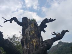 -龙湾潭国家森林公园