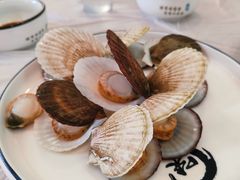 蒸扇贝-捕渔人家海鲜私房菜(仙螺岛店)