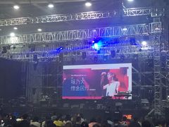 -南京奥林匹克体育中心-体育馆