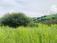 -新疆那拉提国家旅游度假区