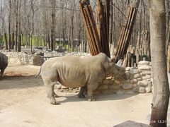 -北京野生动物园