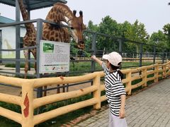 -龙口南山旅游景区