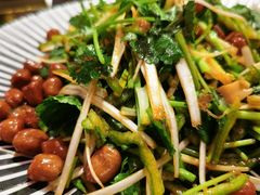 东北老虎菜-關東雪东北菜(中庚漫游城店)