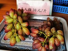 -白鹿原葡萄主题公园